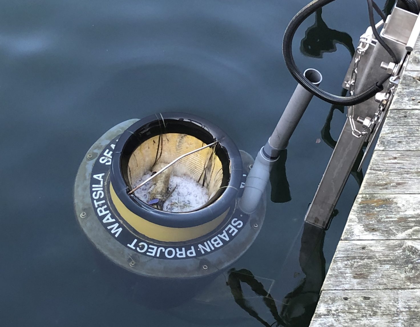 SEABIN i donsö hamn